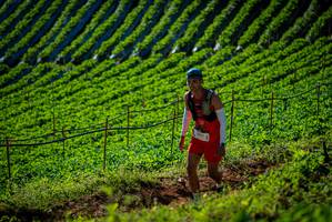 BIB: 
                            <button type="button" onclick="openModal(19160761)" class="btn btn-primary btn-sm float-right btn-popup" data-toggle="modal" data-target=".modal-high-quality">
                        <i class="fas fa-shopping-cart"></i> Add to Cart
                    </button>
                                            <button type="button" onclick="isThisMe(19160761, true)" class="btn btn-success btn-sm float-right btn-popup btn-isme hidden" data-toggle="tooltip" data-placement="bottom" title="นี่คือรูปของคุณใช่ไหม คลิกที่นี่เพื่อเอาเข้าอัลบั้ม">
                        <i class="fas fa-plus"></i> Add to album
                    </button>
                    <button type="button" onclick="isThisMe(19160761, false)" class="btn btn-warning btn-sm float-right btn-popup btn-isnotme hidden">
                        <i class="fas fa-ban"></i> Remove from album
                    </button>